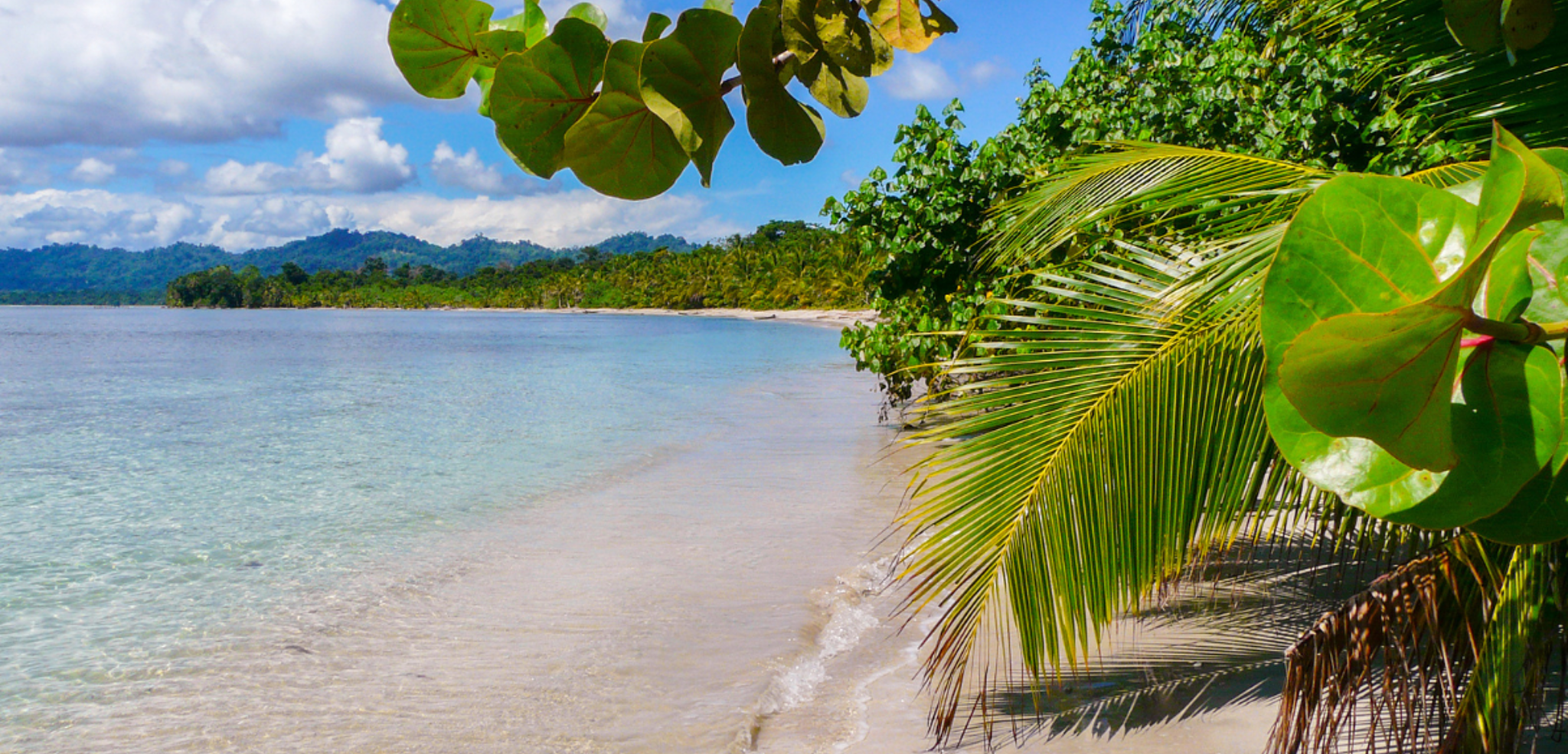 Puis direction Cahuita, sur la côte Caraïbe
