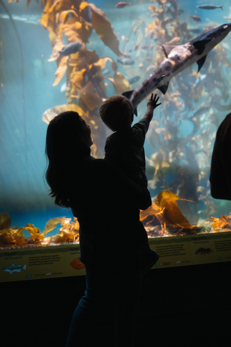 Aquarium cretaquarium d'Héraklion ©James Collington / Pexels