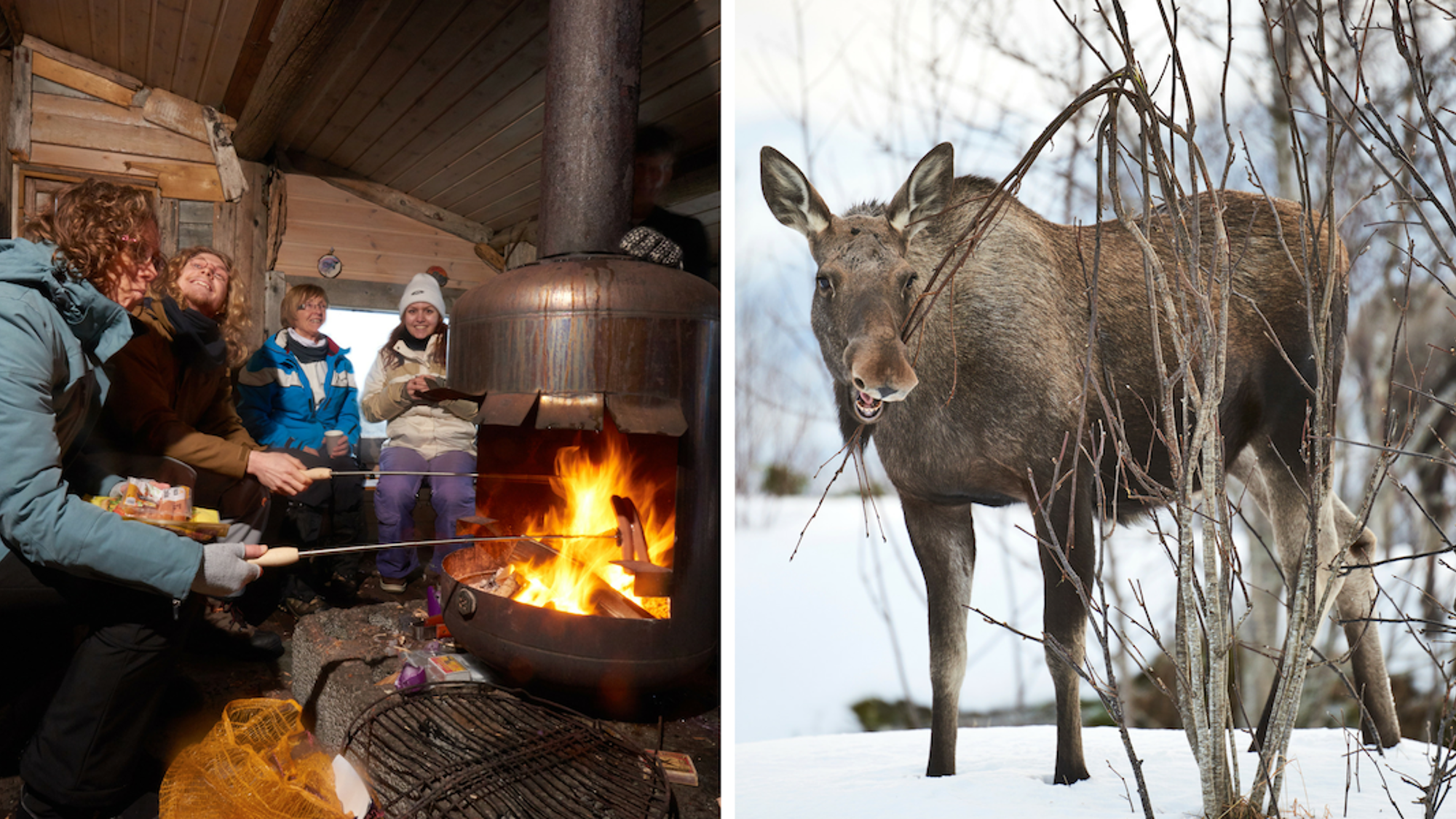 Partagez des bons moments avec les copines (@Ian Robins)