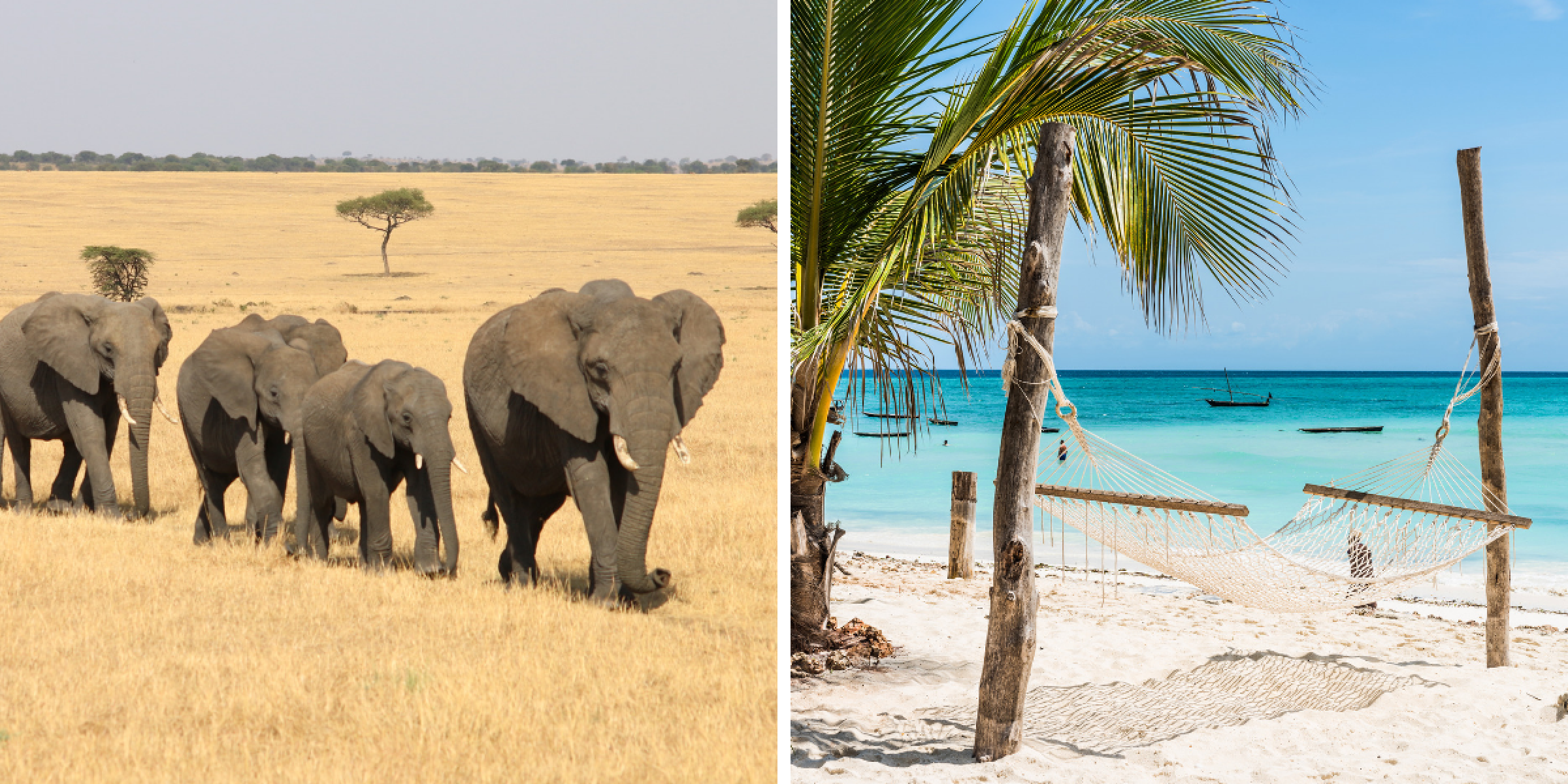  Bienvenue en Tanzanie !  