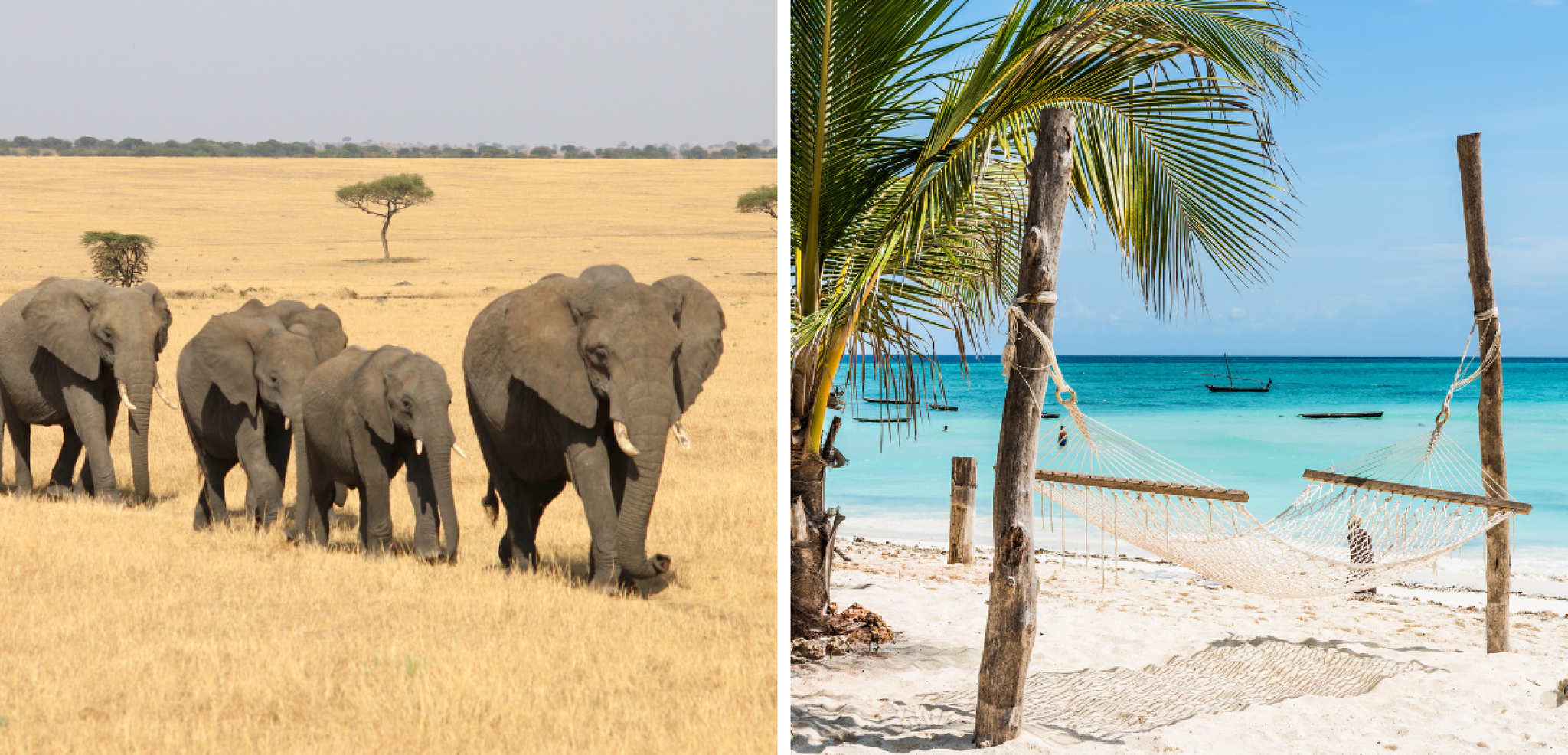 Bienvenue en Tanzanie !