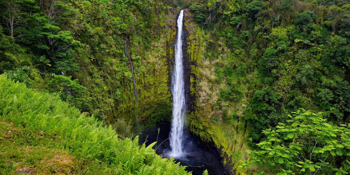 Entre nature luxuriante... 
