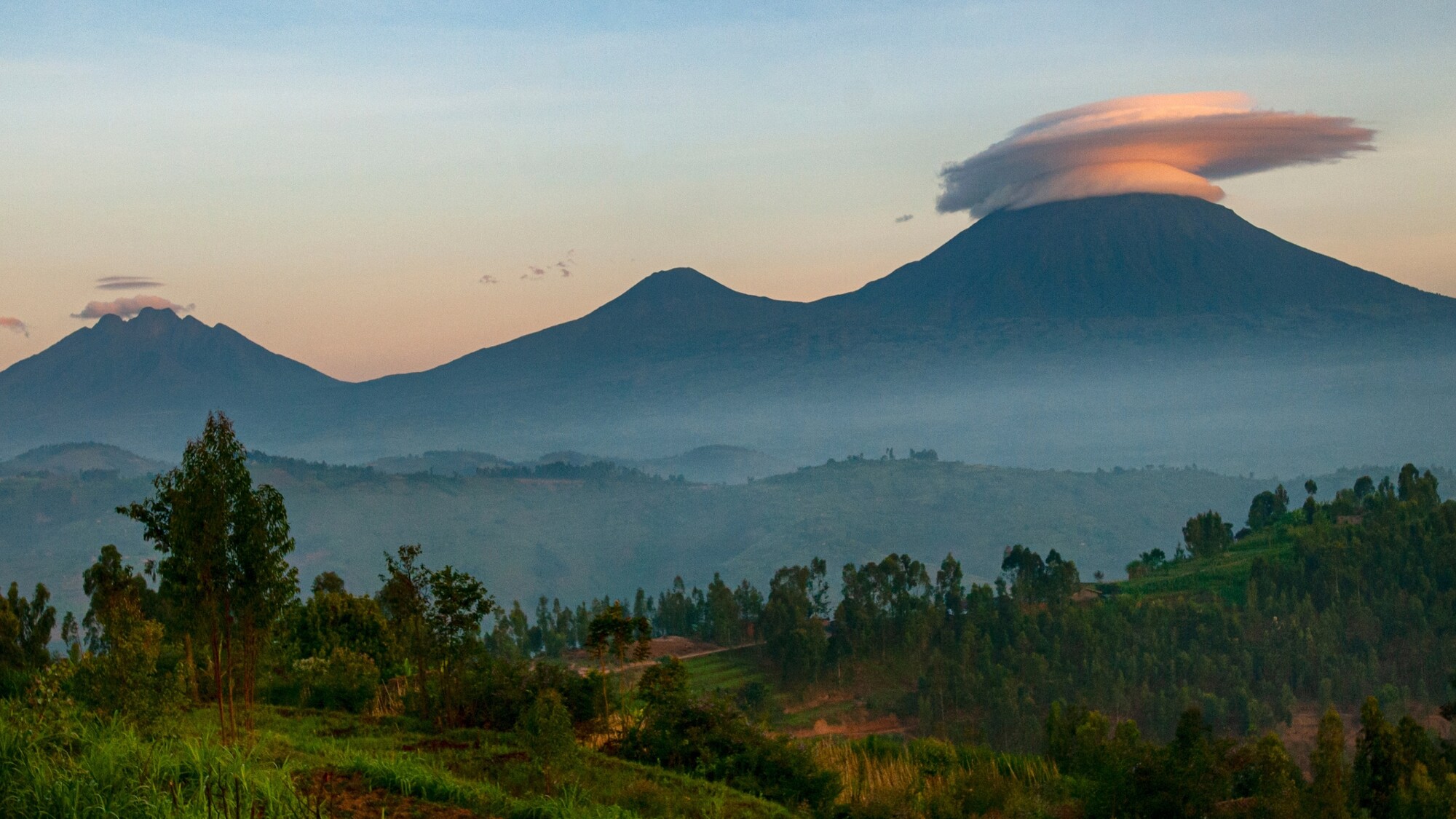 Parc des volcans, Rwanda