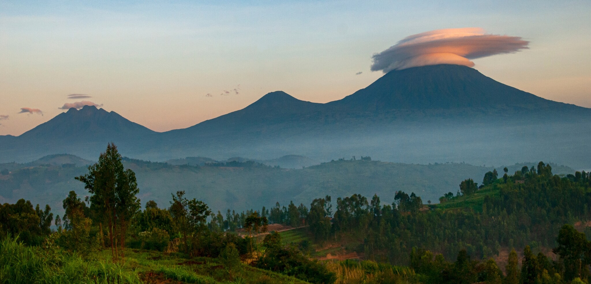 Parc des volcans, Rwanda