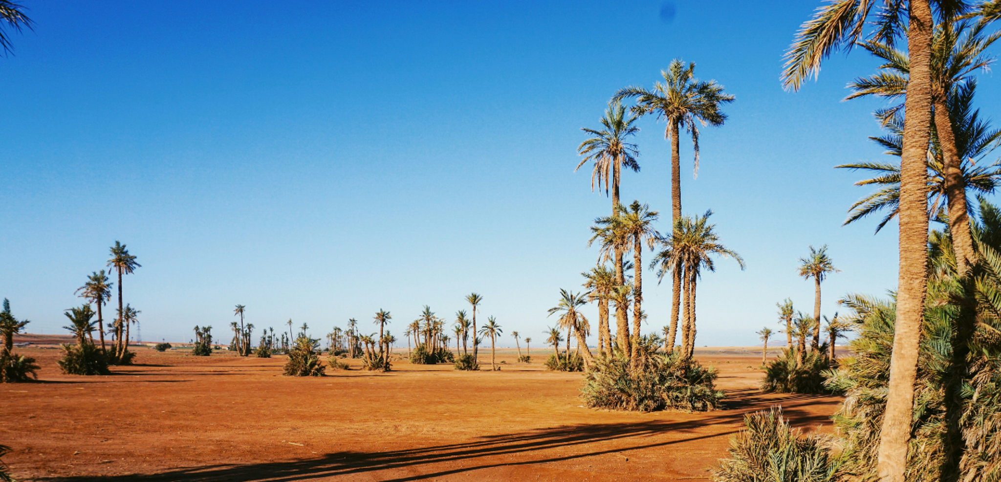 Au coeur de la Palmeraie de Marrakech