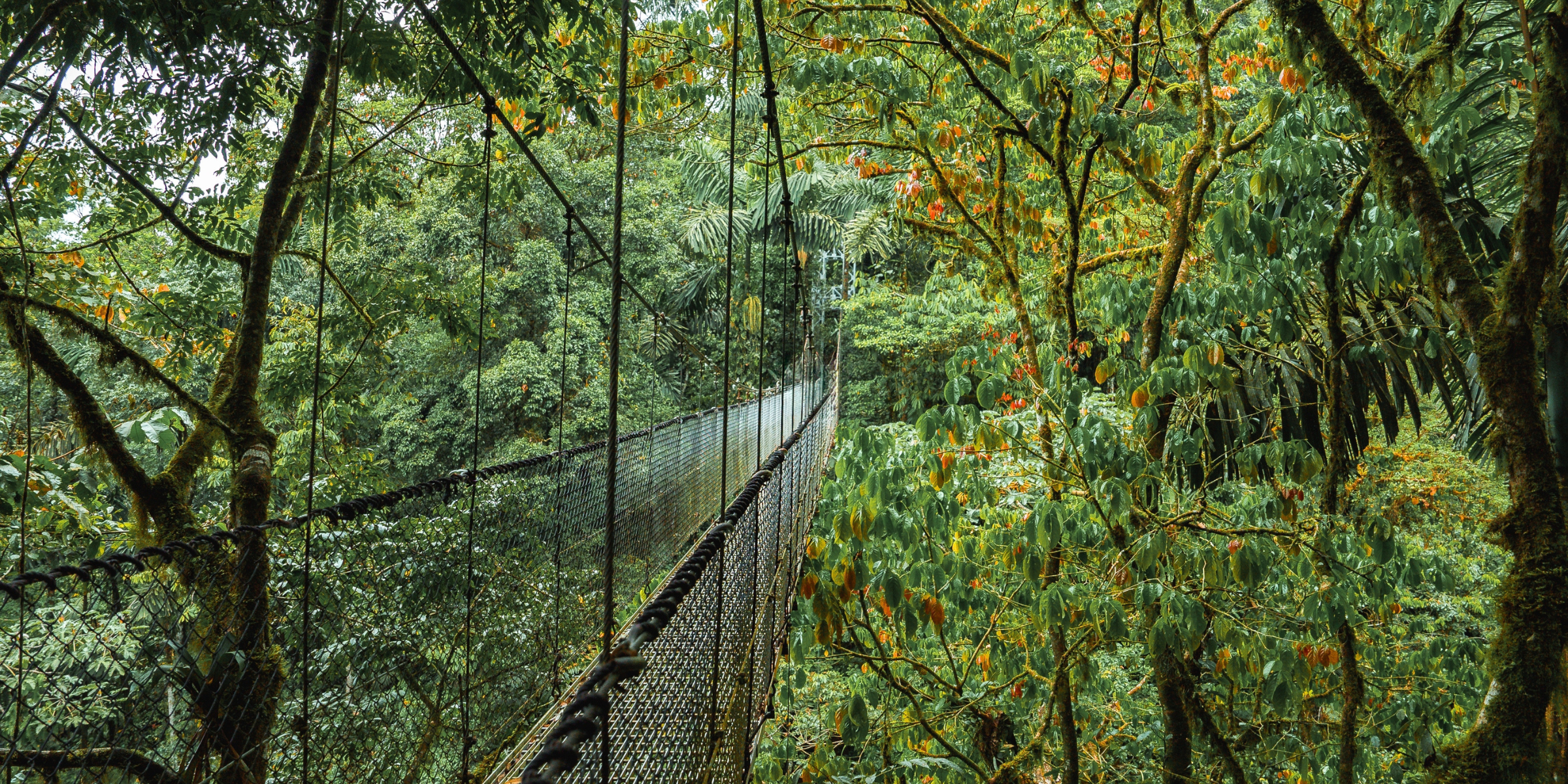 Bienvenue au Costa Rica ! 