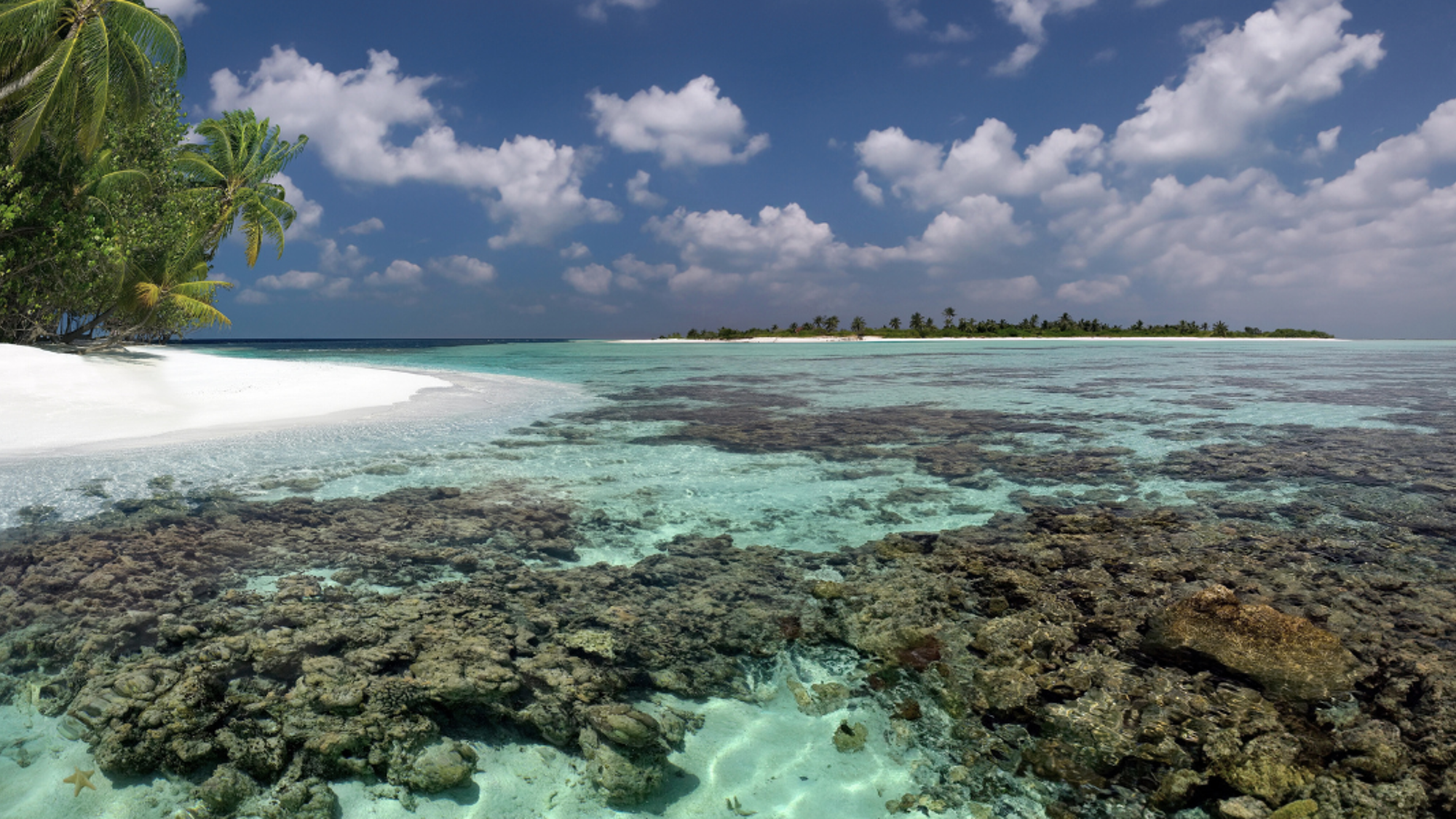 Les paysages paradisiaques de l'Ari Atoll Sud, jour 2