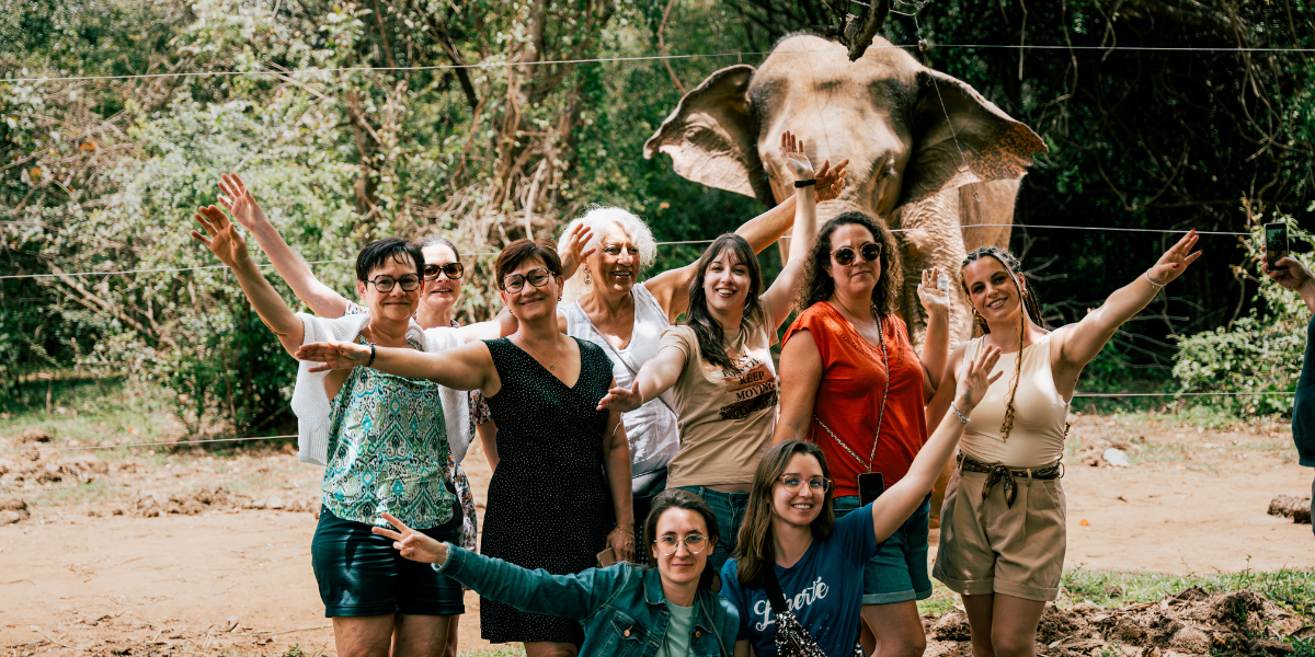 Prenez soins des éléphanteaux, Jour 7 