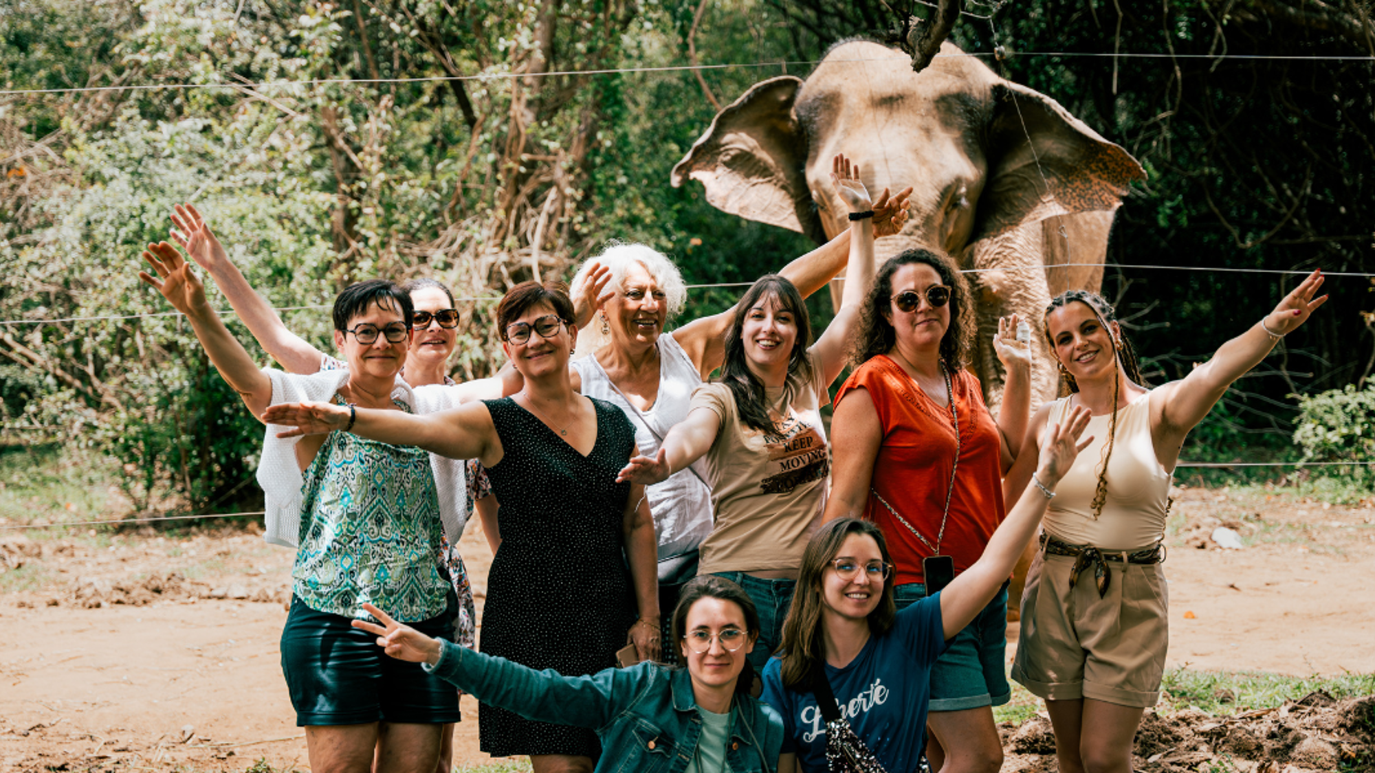 Prenez soins des éléphanteaux, Jour 7