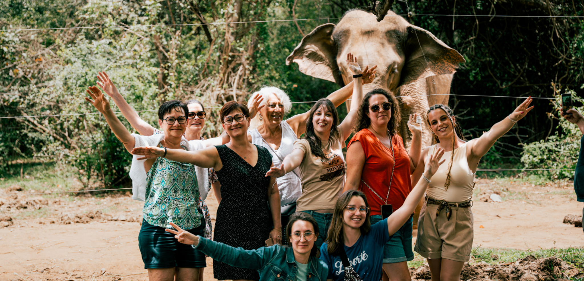 Prenez soins des éléphanteaux, Jour 7