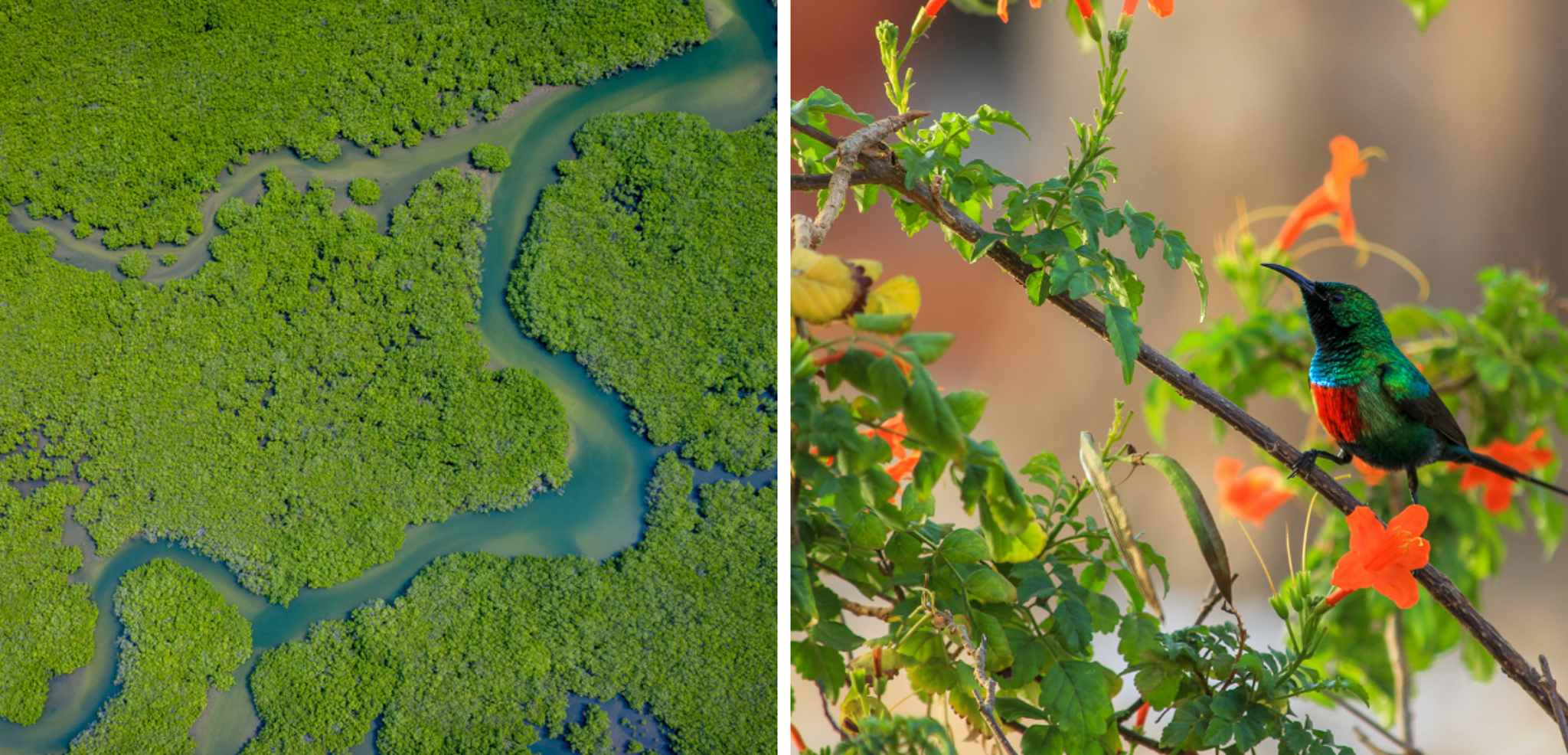A la découverte d'une biodiversité époustouflante !