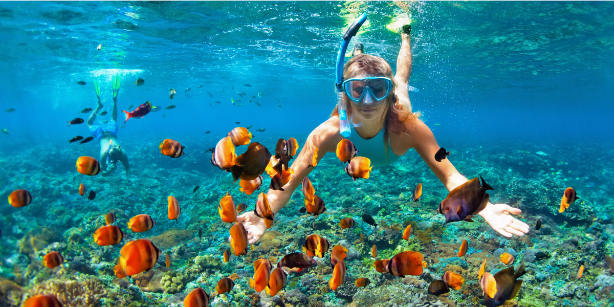 Excursion snorkeling dans l'Océan Indien 
