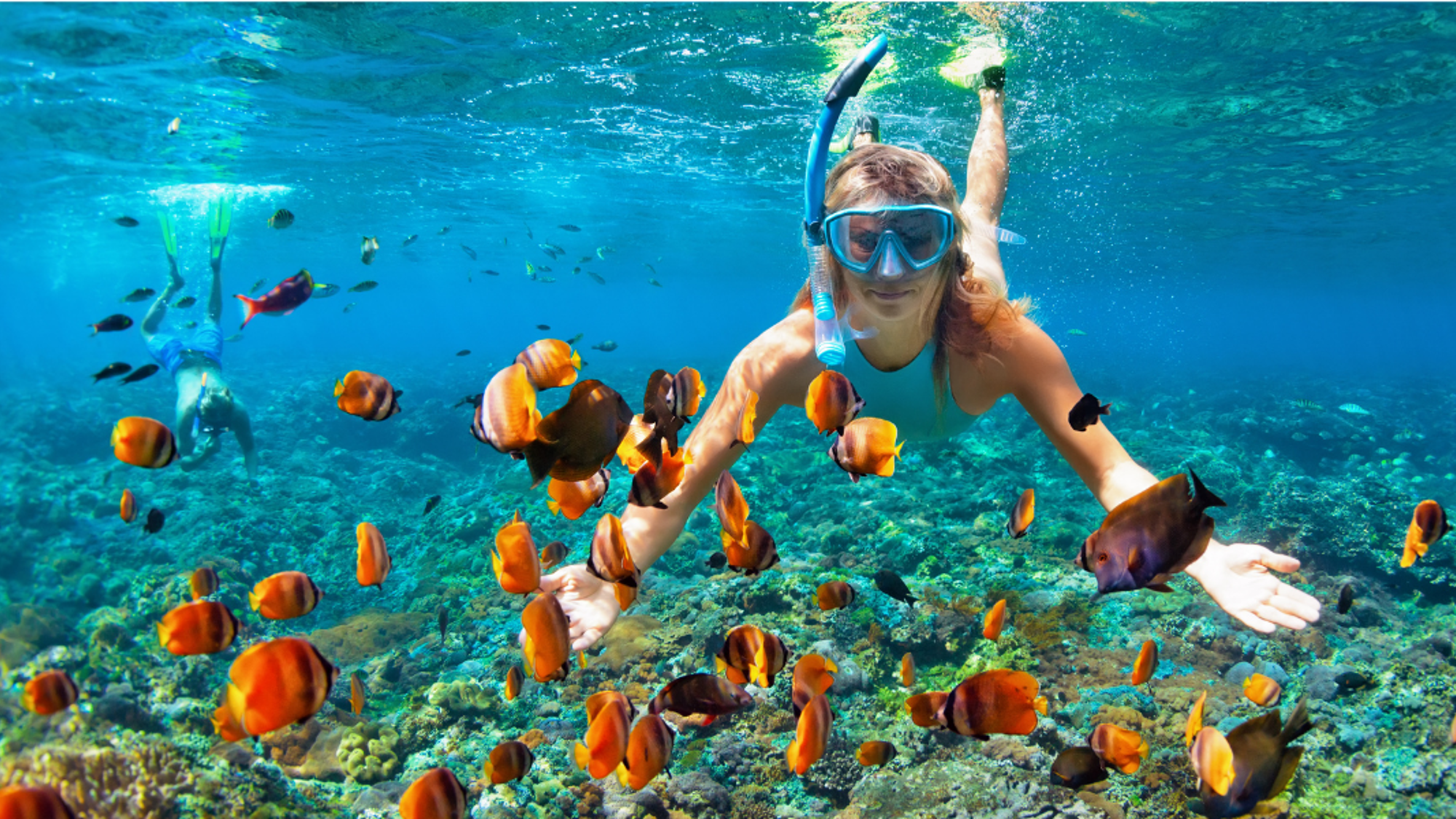 Excursion snorkeling dans l'Océan Indien