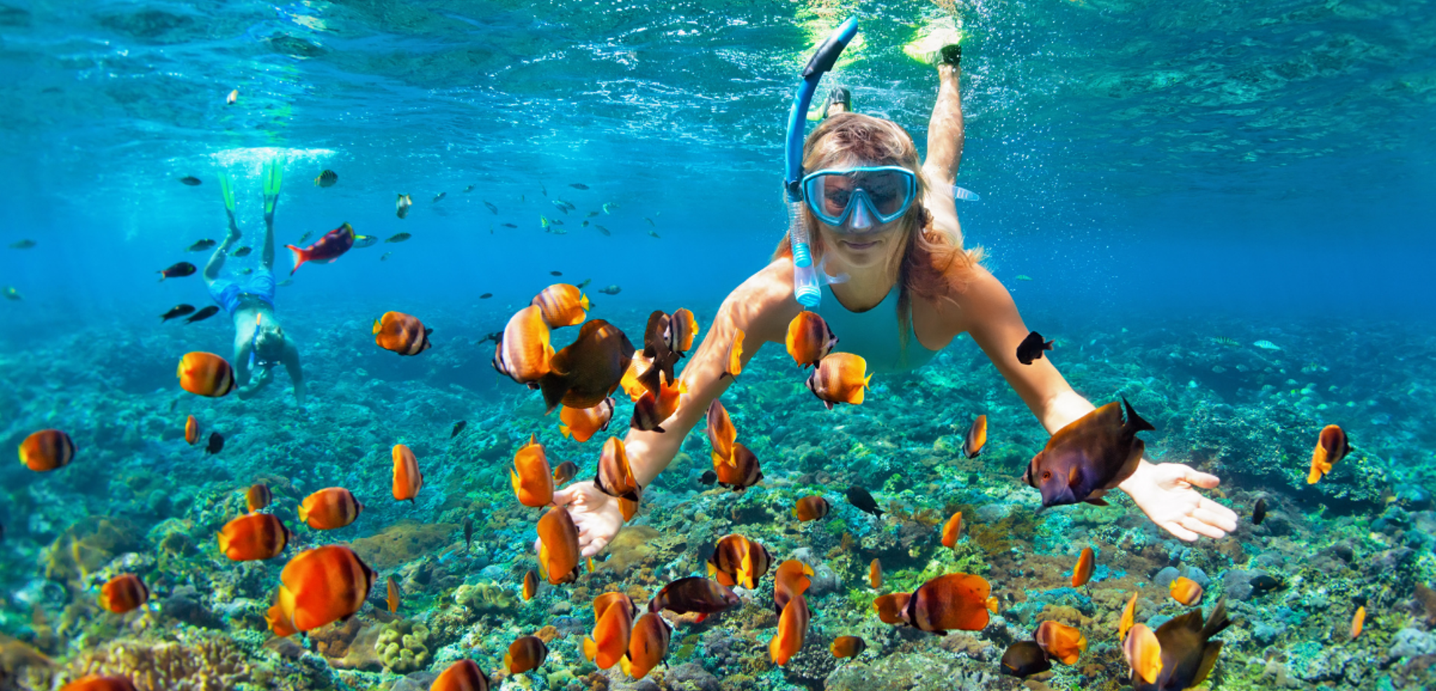 Excursion snorkeling dans l'Océan Indien