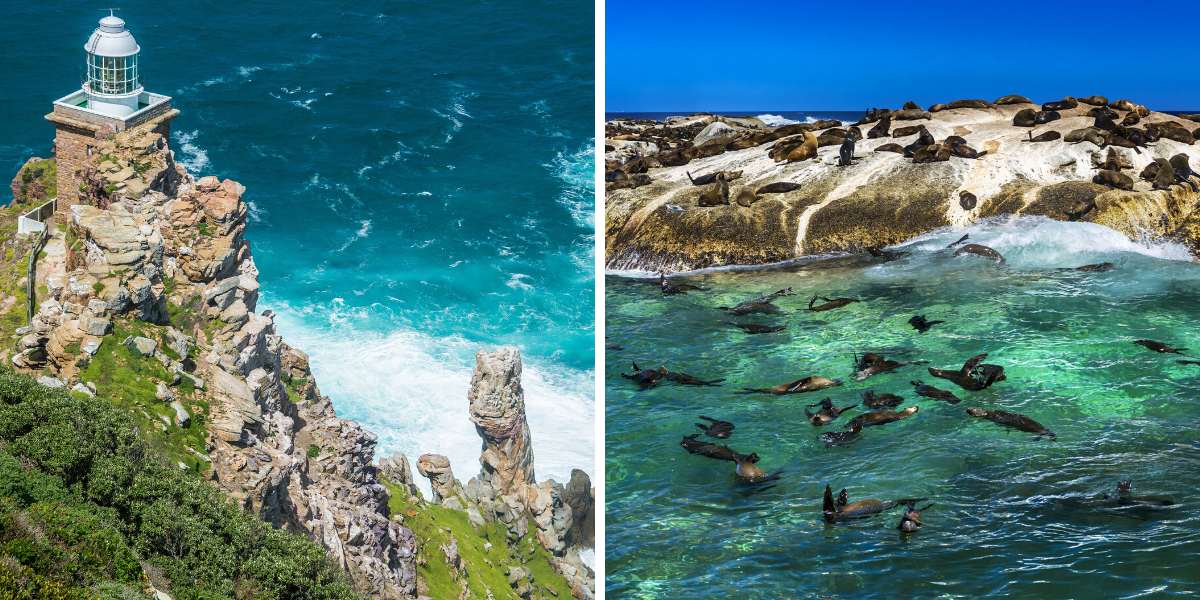Le phare du Cap et les otaries de Duiker Island