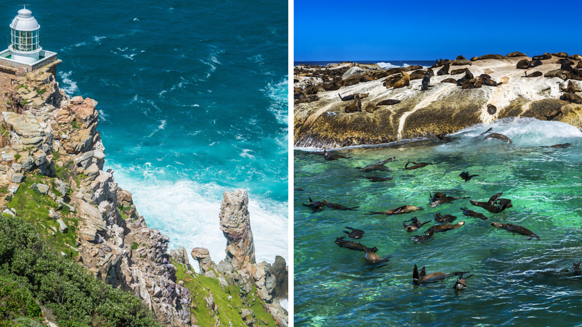 Le phare du Cap et les otaries de Duiker Island
