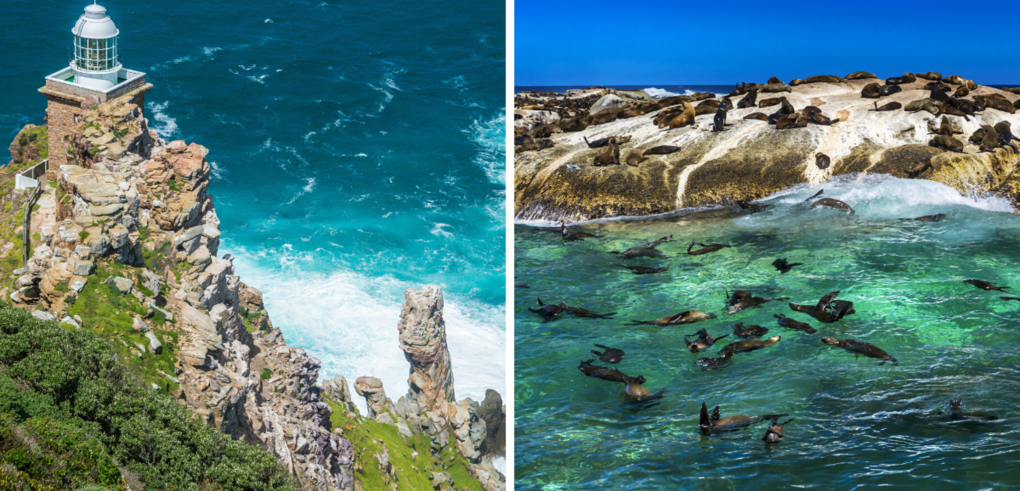 Le phare du Cap et les otaries de Duiker Island