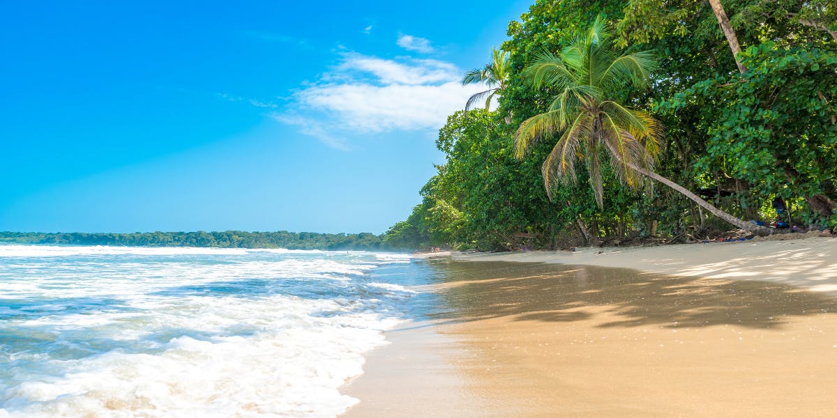 Pour un séjour entre Caraïbes et Pacifique