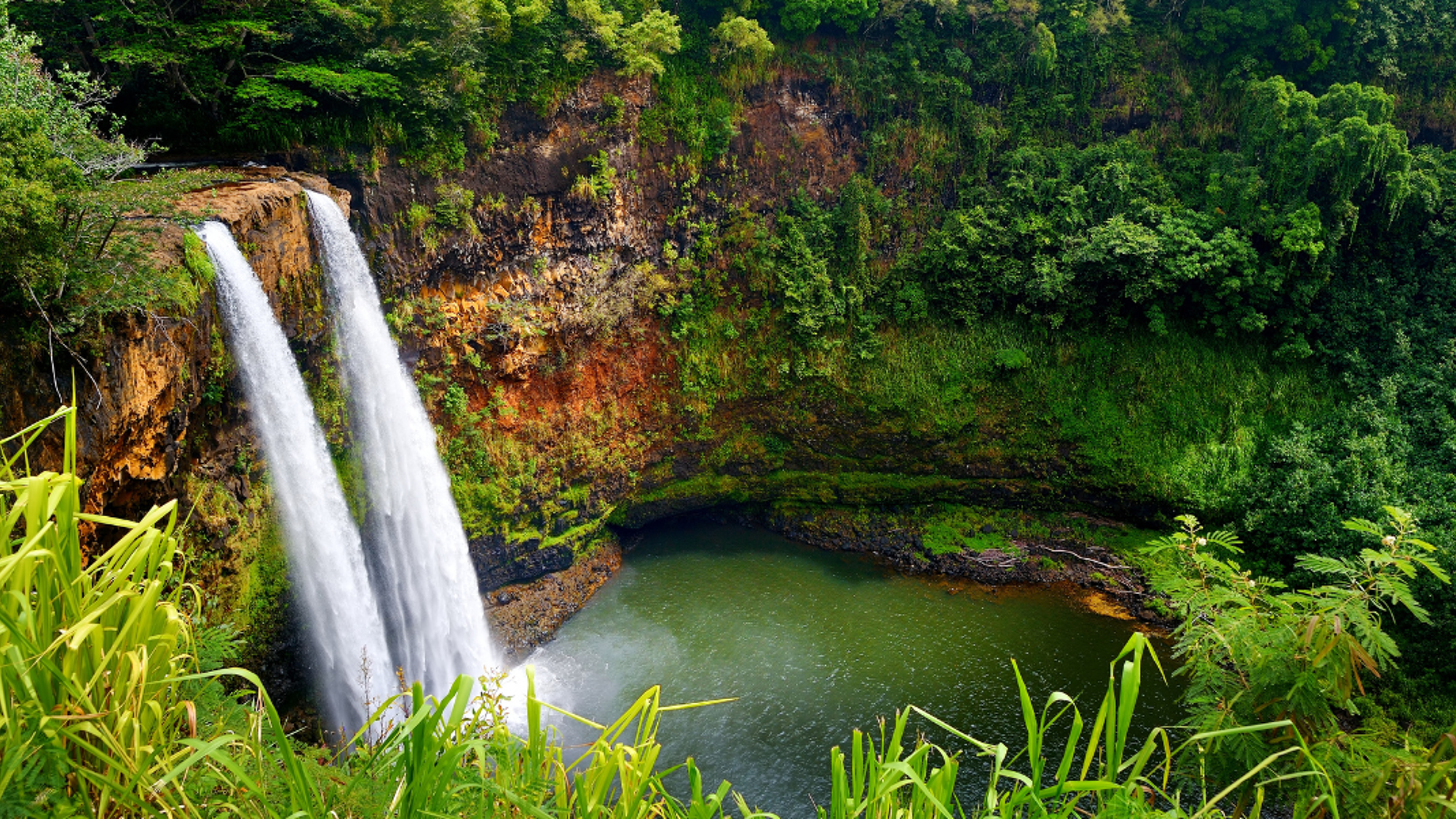Découvrez les chutes de Wailua
