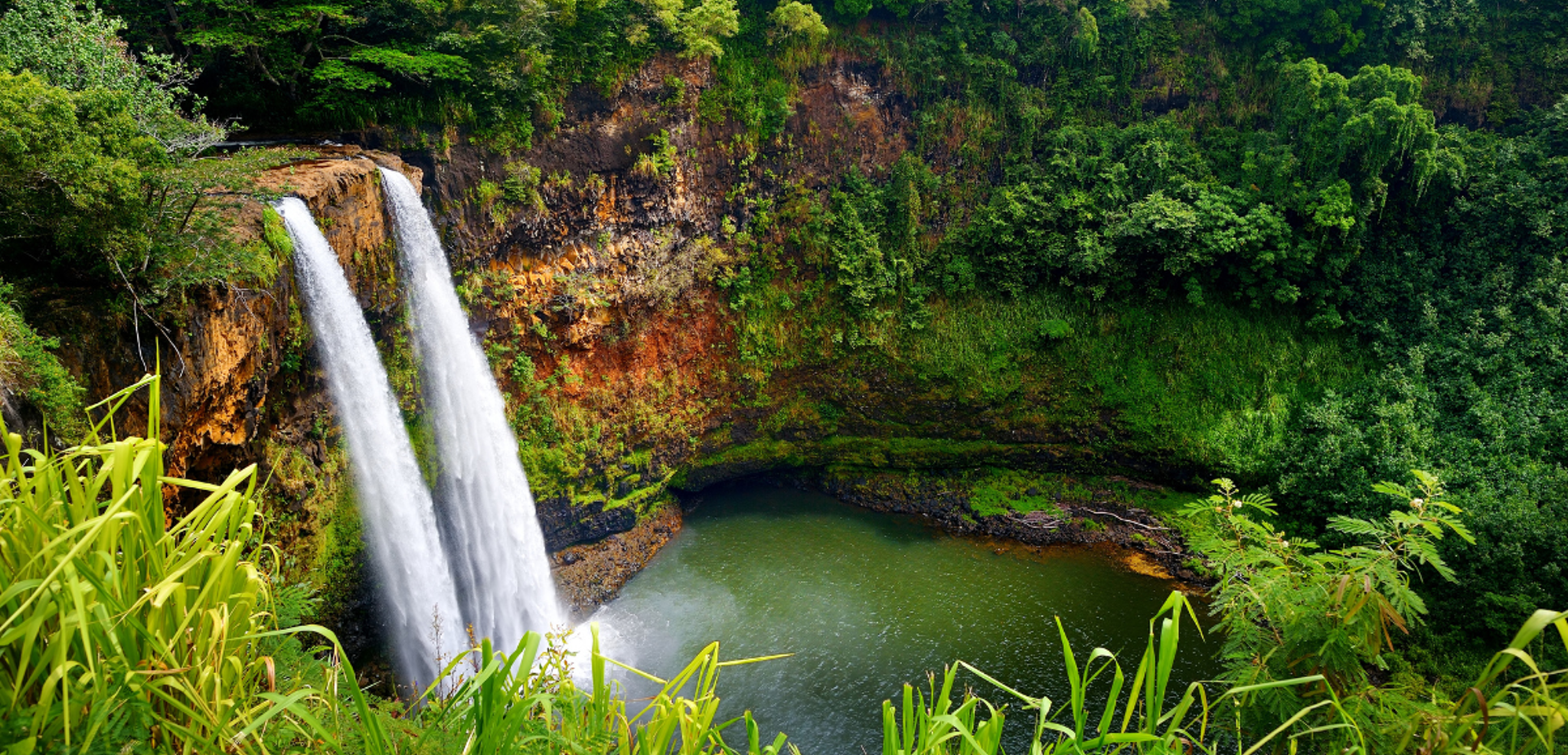 Découvrez les chutes de Wailua