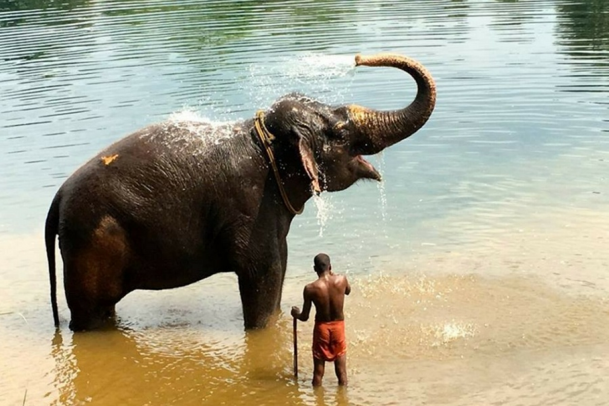 Des scènes de vie inoubliables