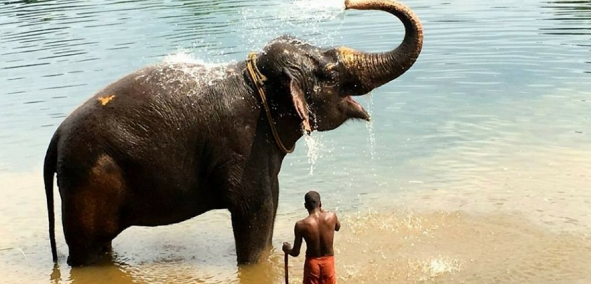 Des scènes de vie inoubliables