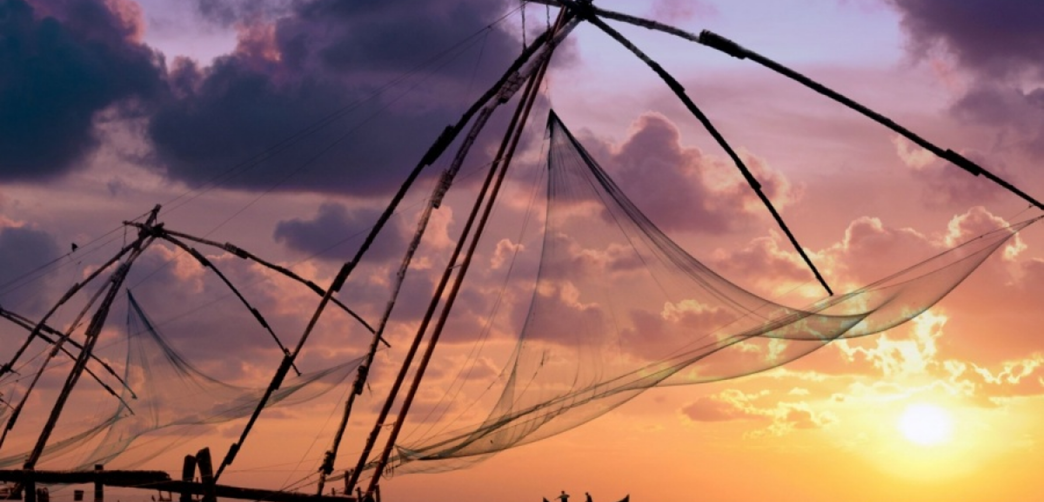 Filets chinois de Cochin