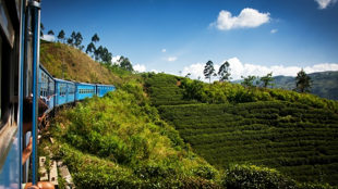 Bienvenue au Sri Lanka