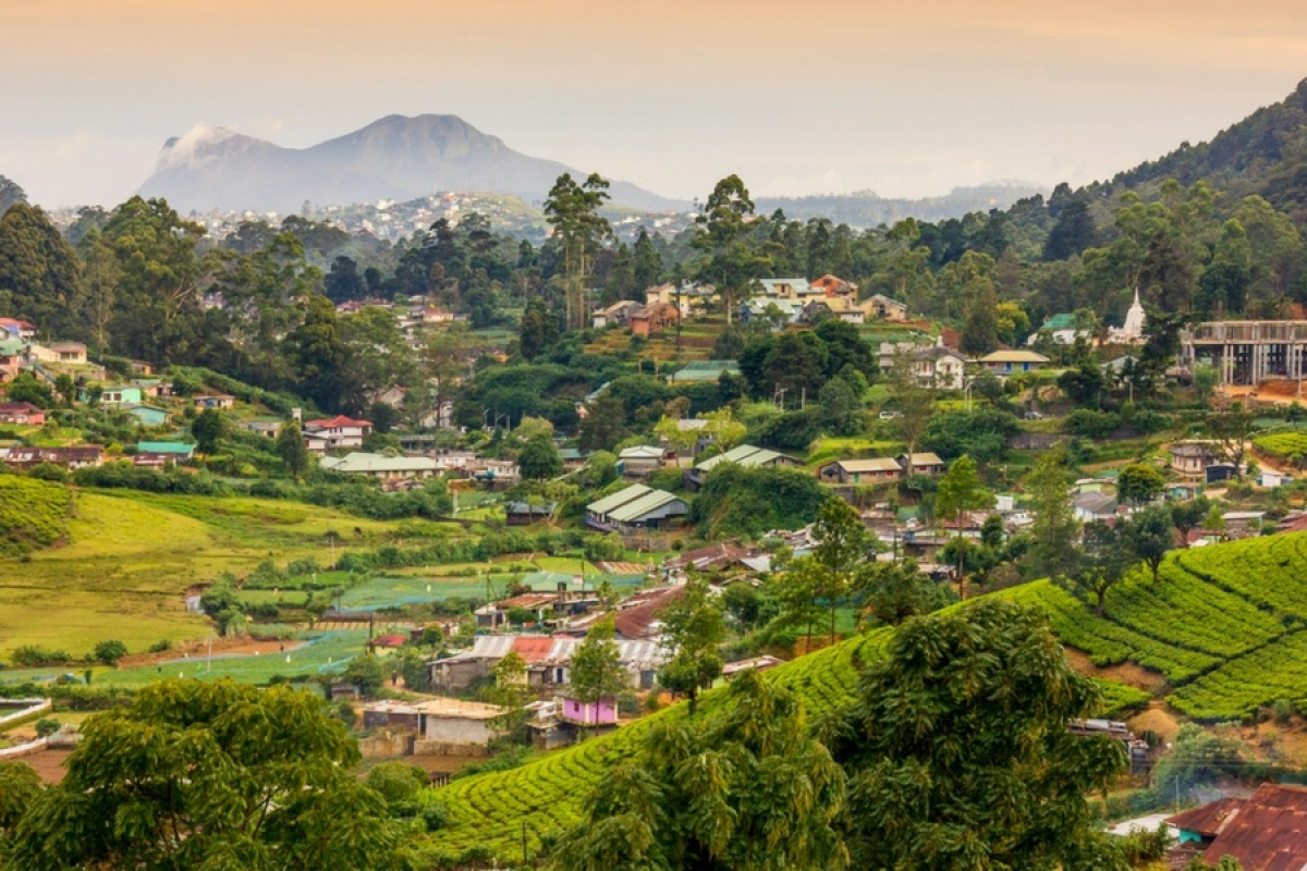 Le charme de la campagne du Sri Lanka