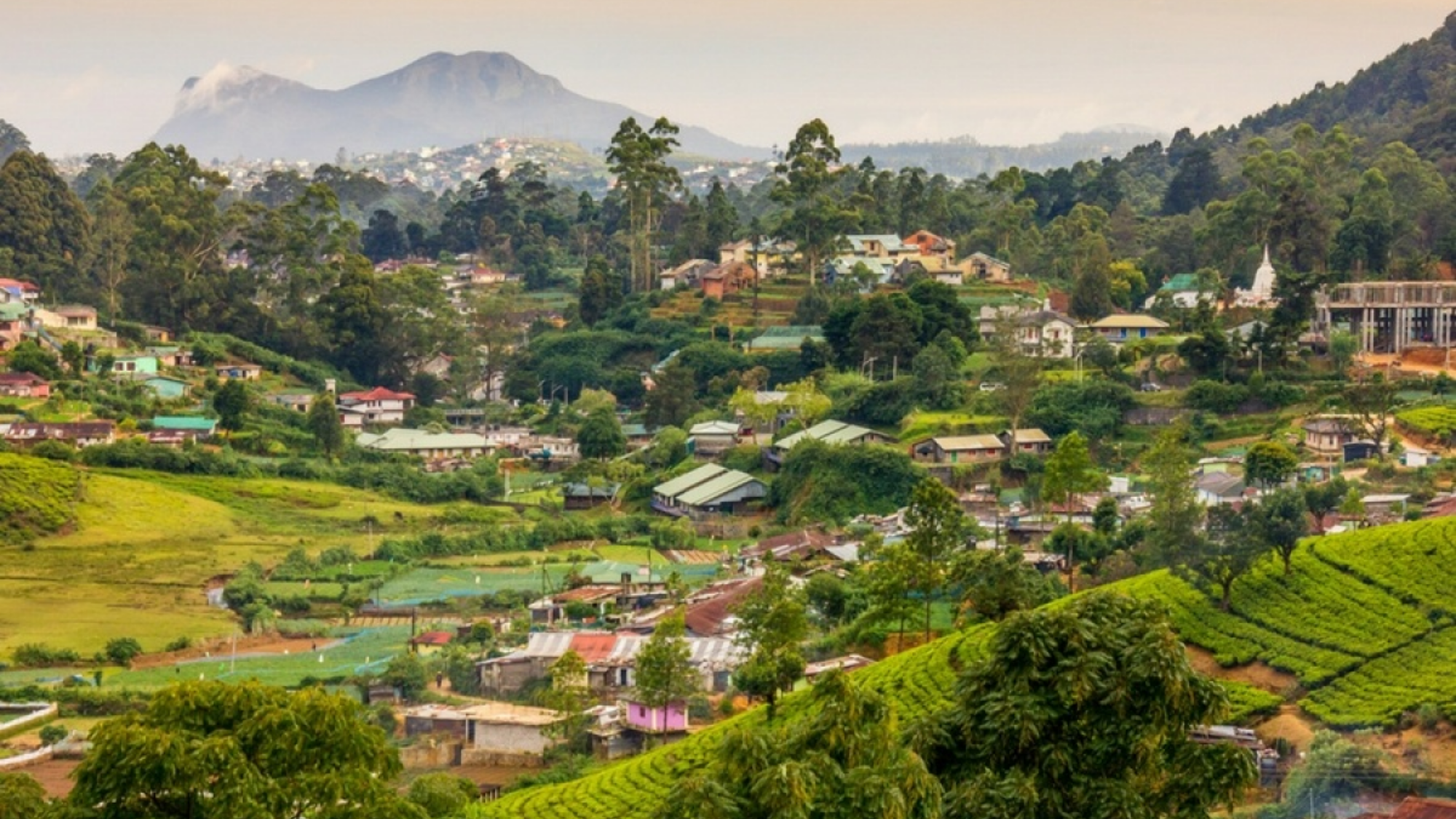 Le charme de la campagne du Sri Lanka