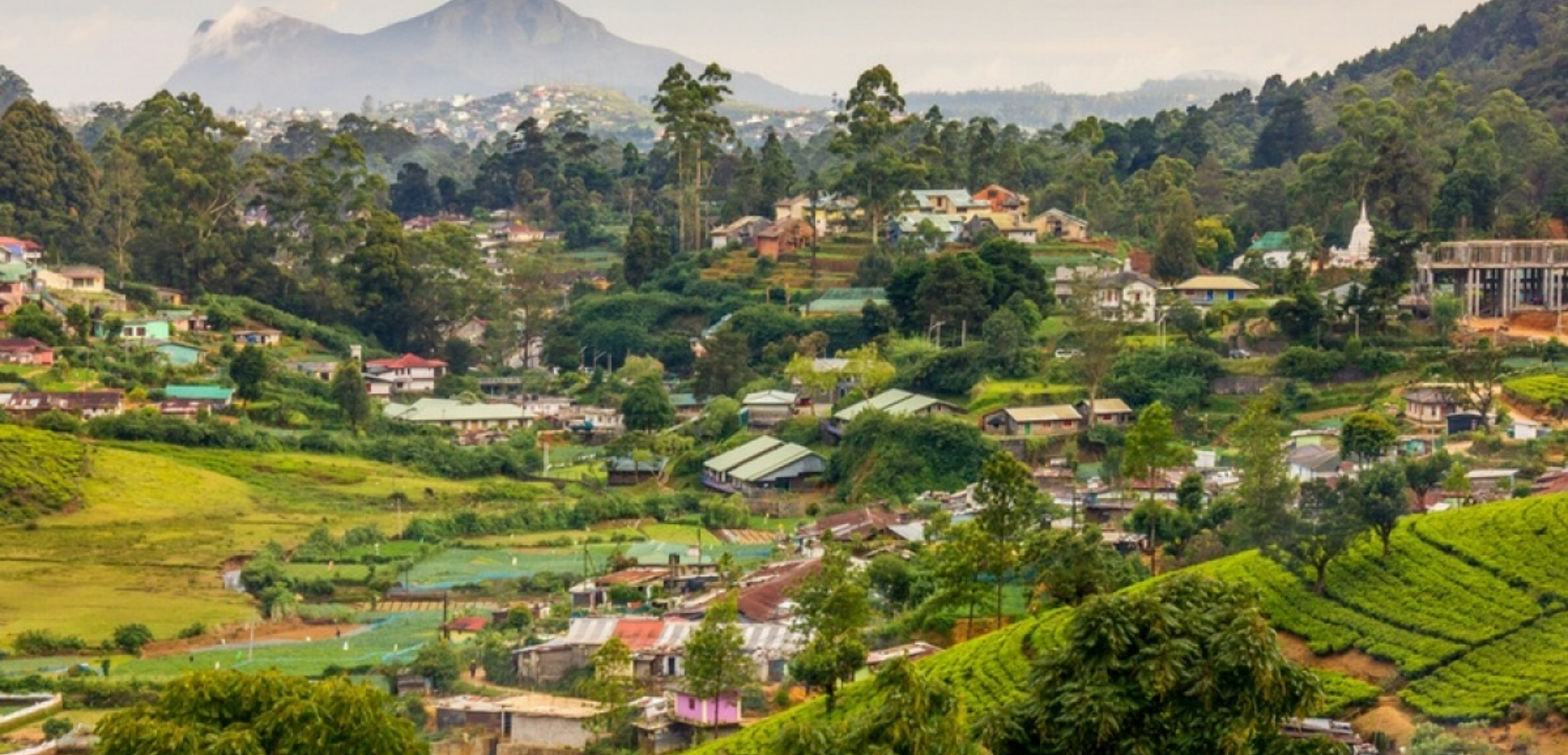 Le charme de la campagne du Sri Lanka