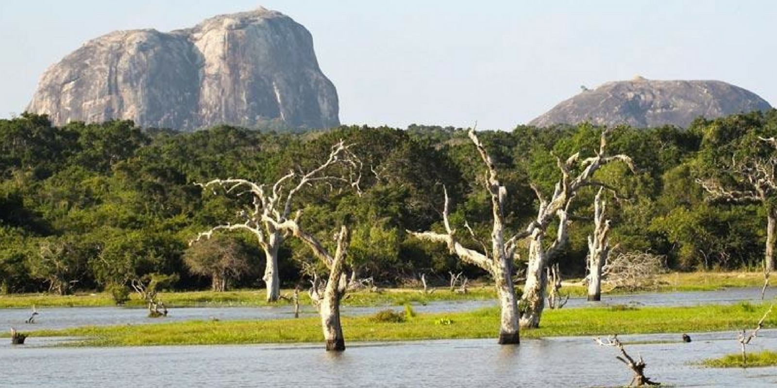 le parc national de Yala