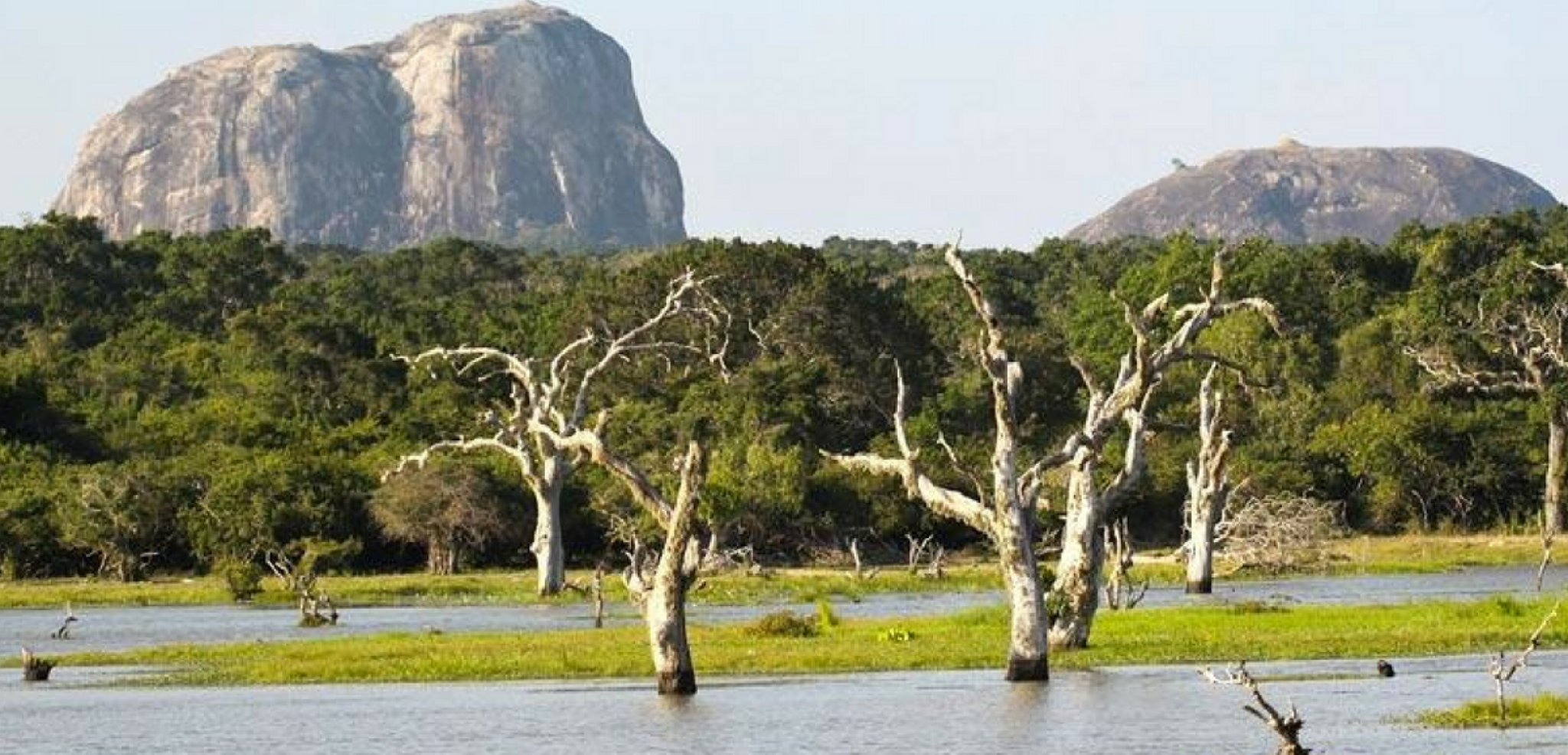 le parc national de Yala