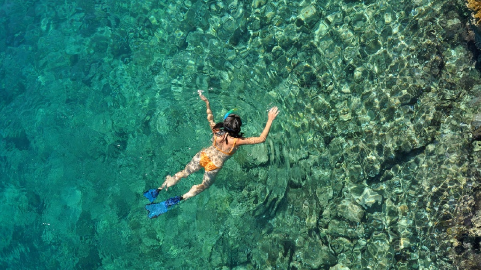 Testez vous au snorkeling