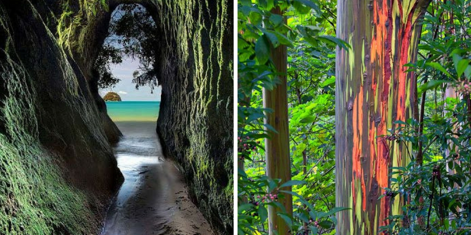 Découvrez des paysages typiques ! 