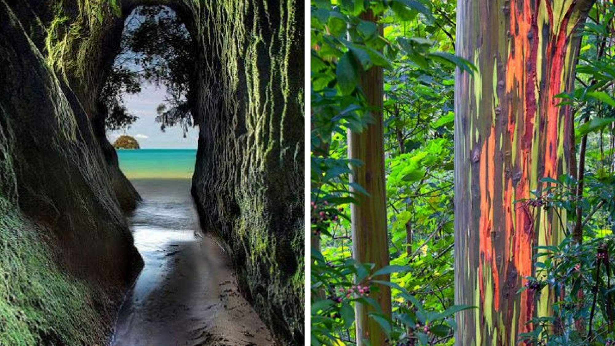 Découvrez des paysages typiques !