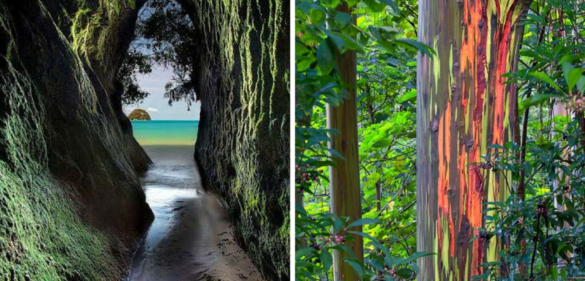 Découvrez des paysages typiques !