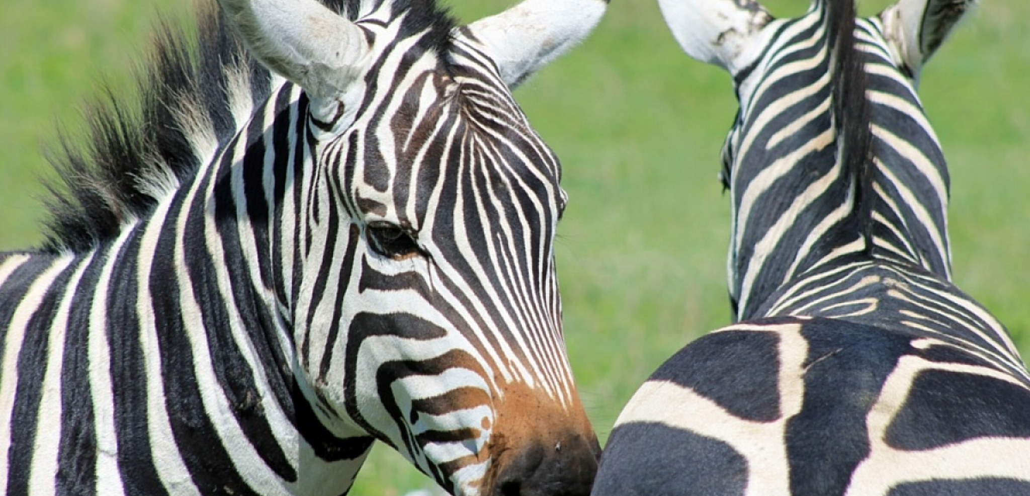 Bienvenue en Tanzanie !