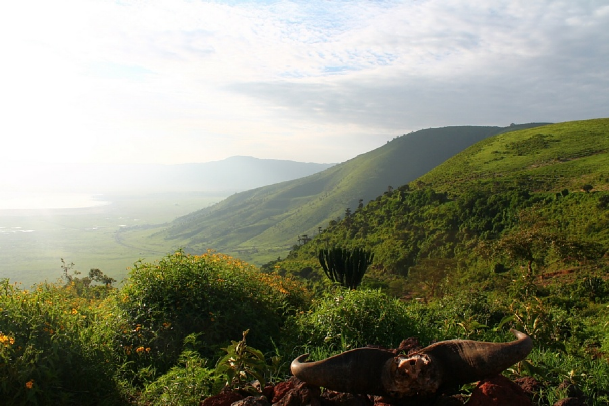 Des paysages exceptionnels