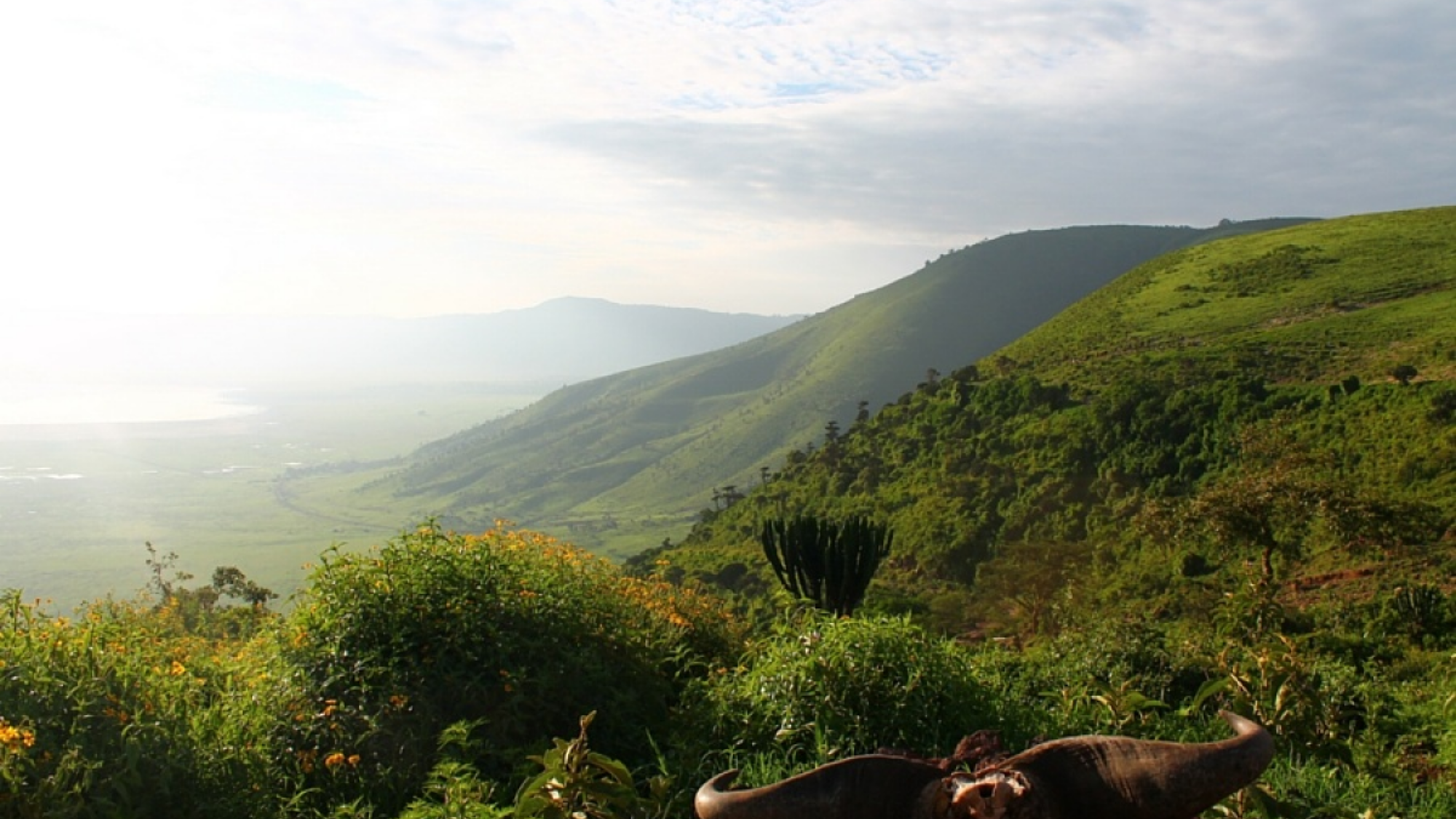 Des paysages exceptionnels