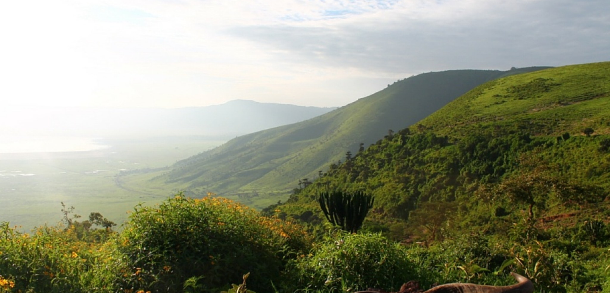 Des paysages exceptionnels