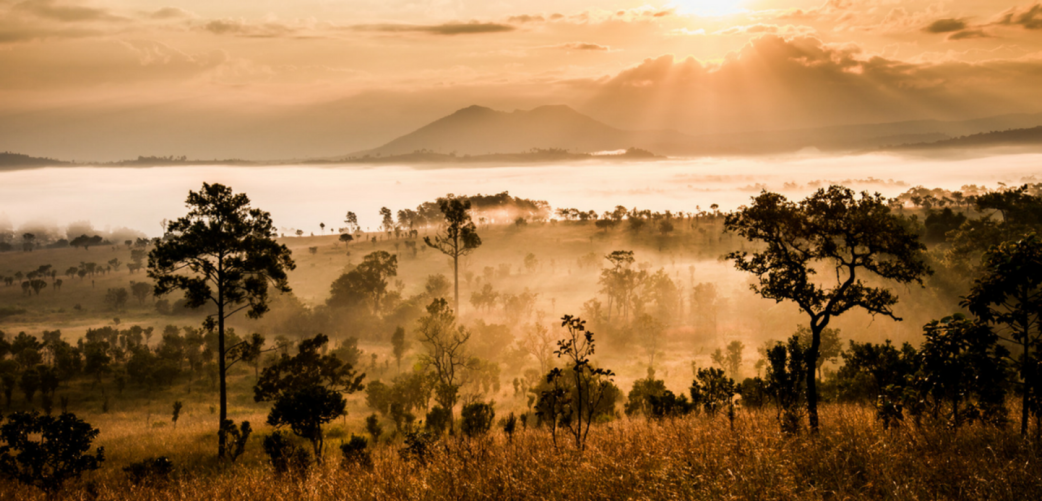 Des paysages exceptionnels