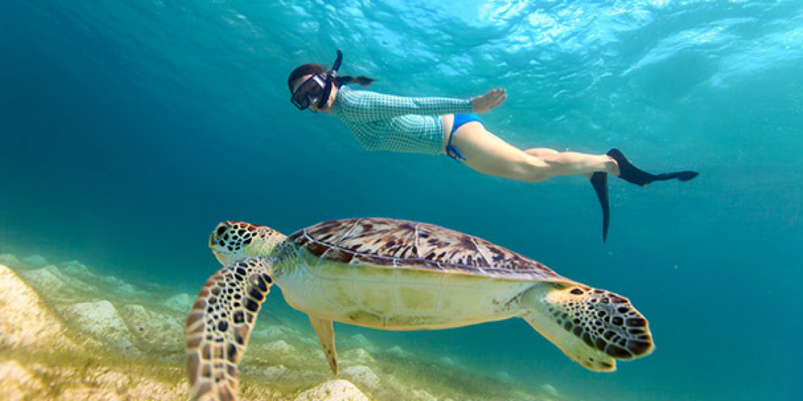 Un petit tour de snorkeling ? (non inclus) 