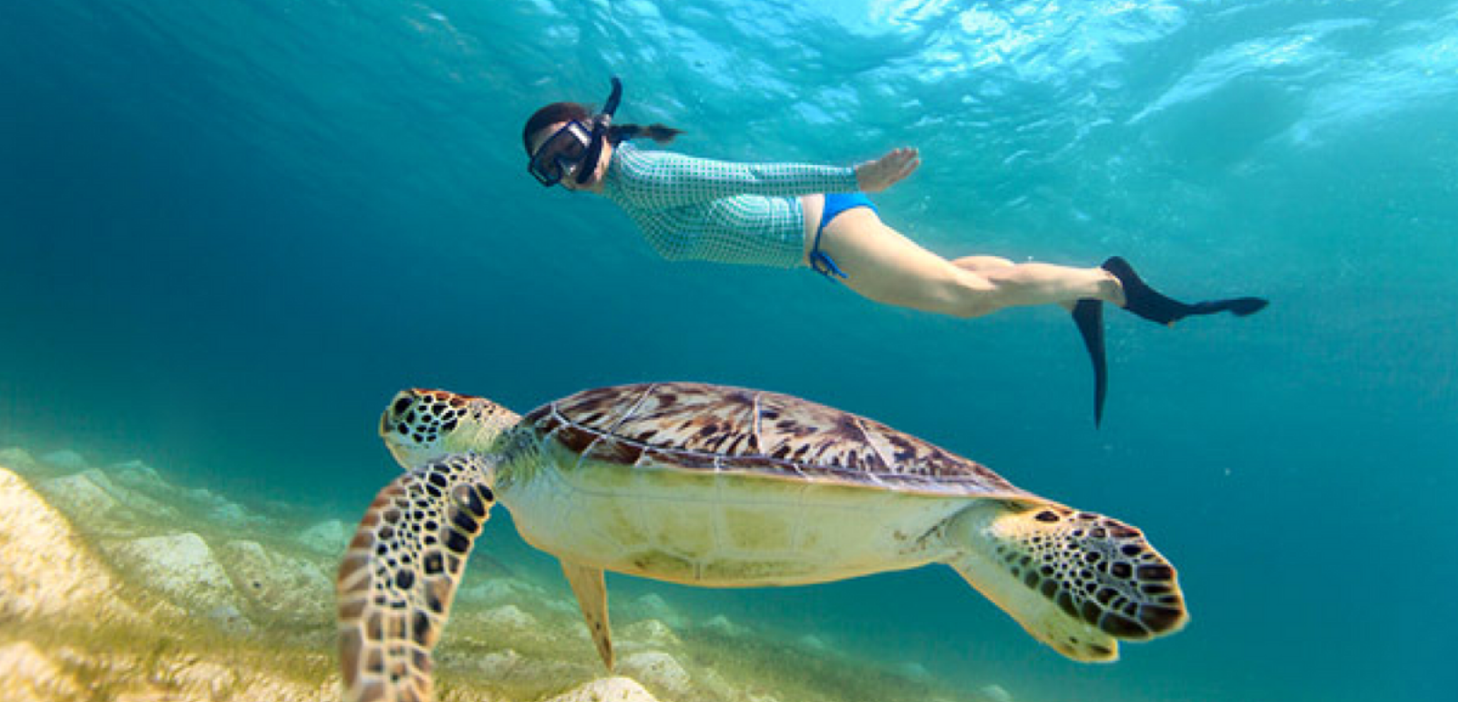 Un petit tour de snorkeling ? (non inclus)