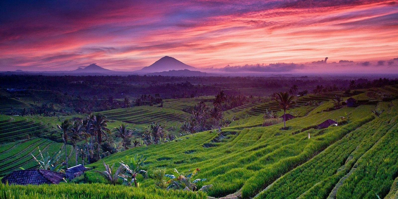 Traversez des paysages inoubliables