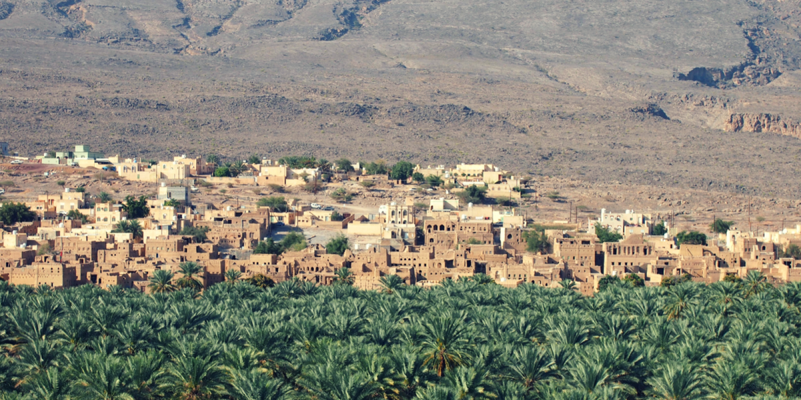 Le vieux village d'Al Hamra
