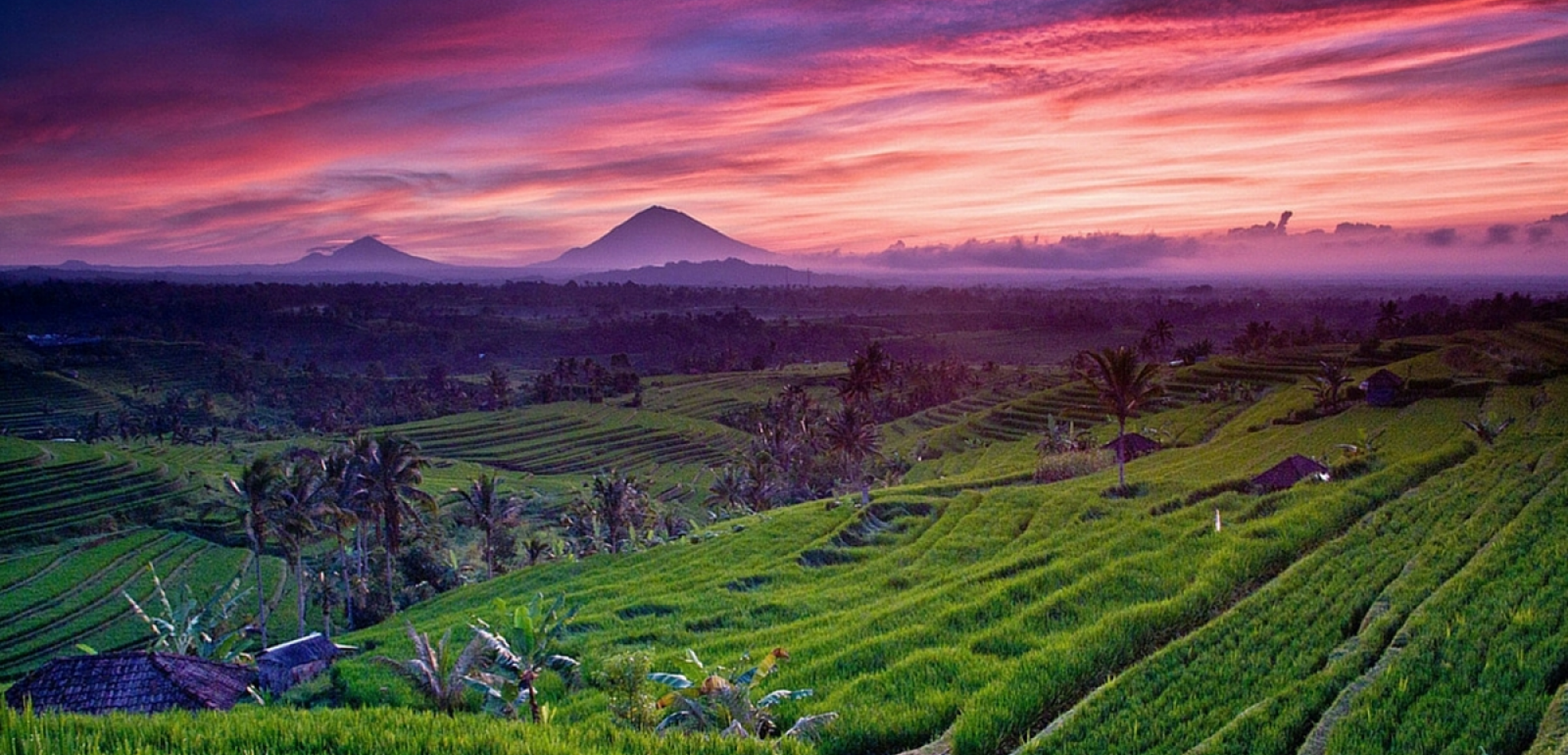 Bali, l'île des Dieux !