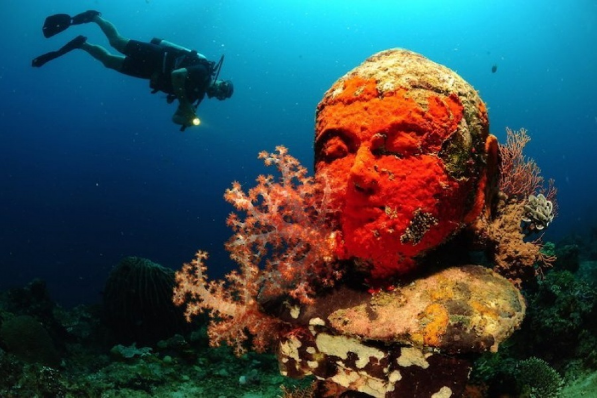 Fonds marins spectaculaires