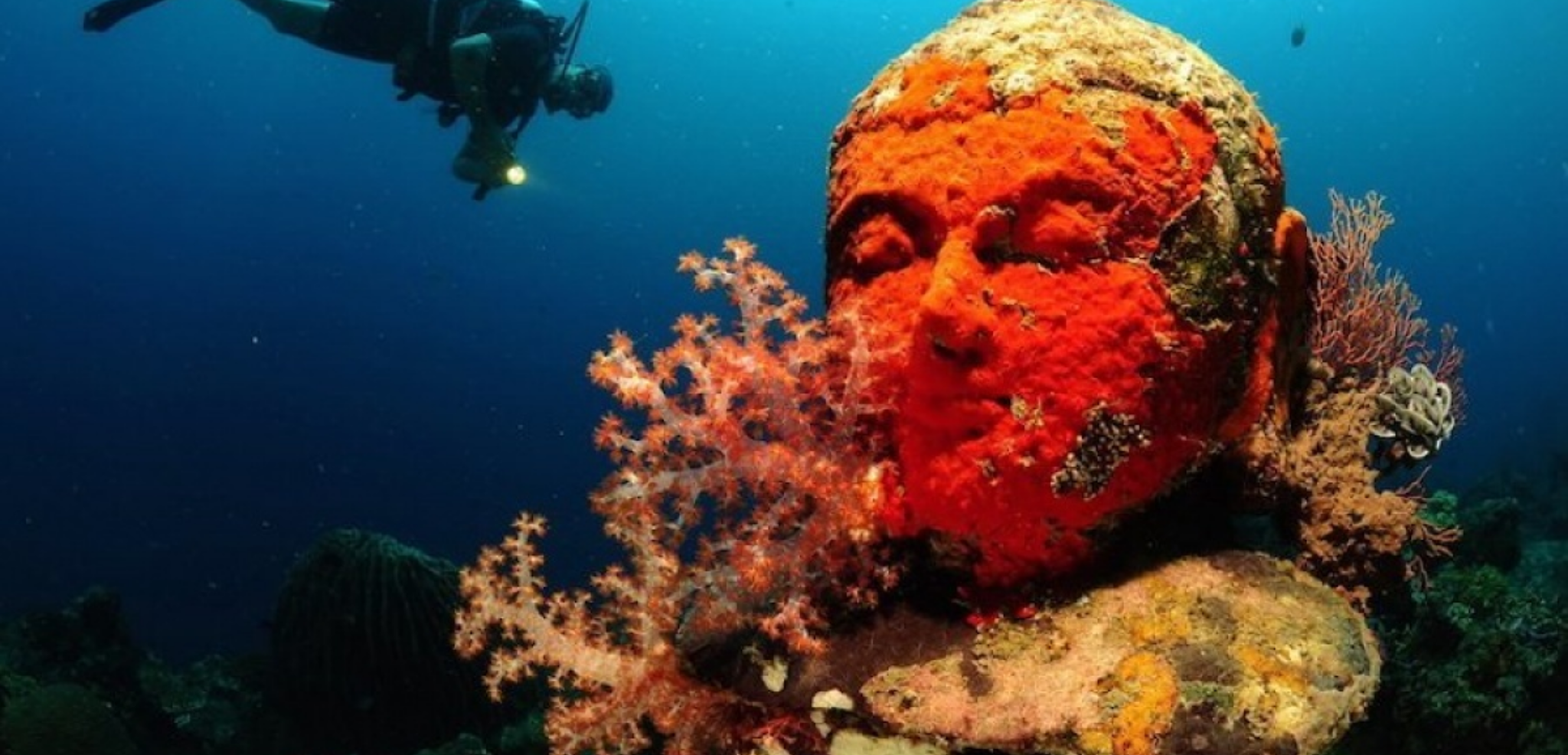 Fonds marins spectaculaires