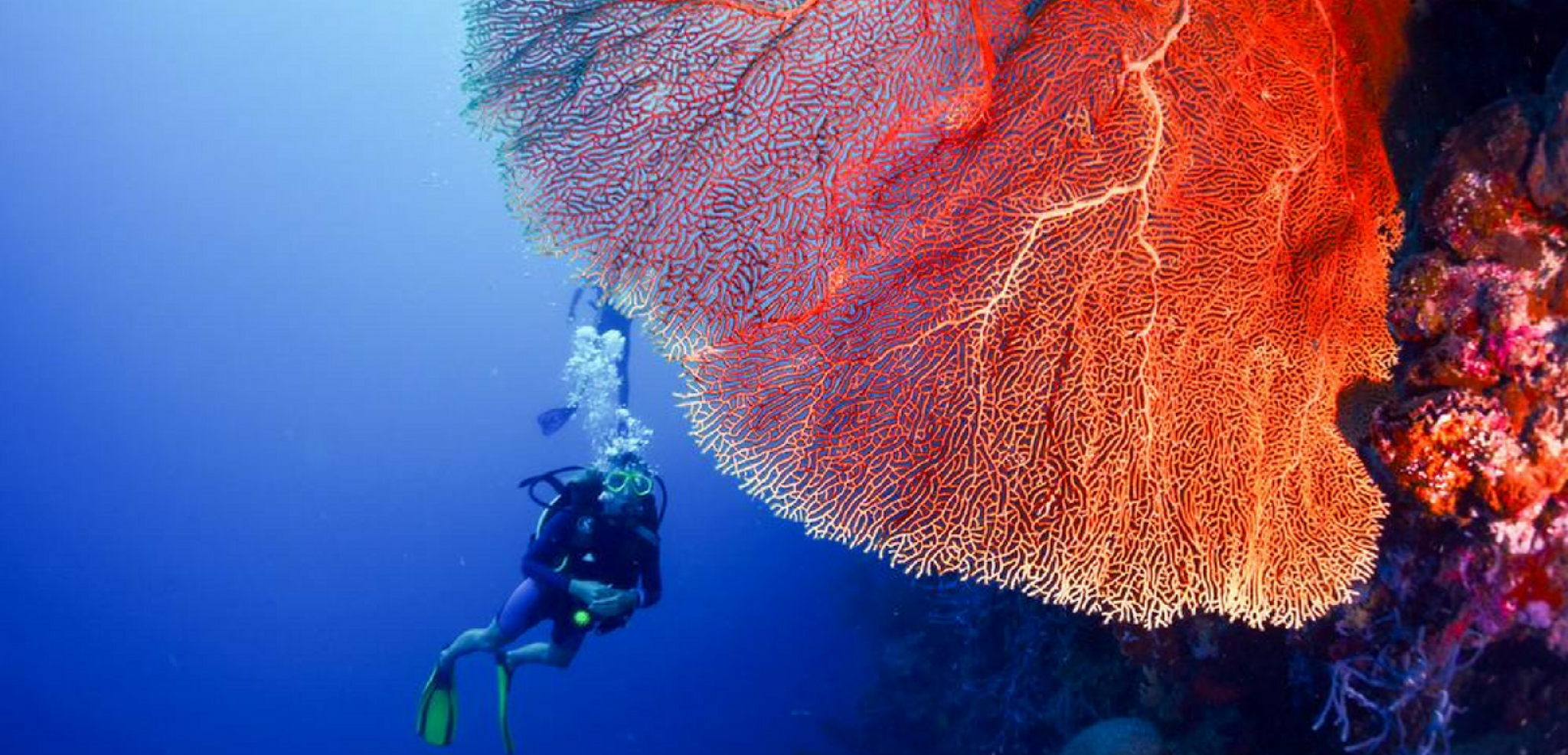 Découvrez une falaise exceptionnelle à Jemeluk